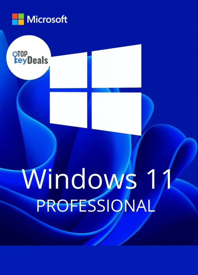 windows 10 professional c (1)
